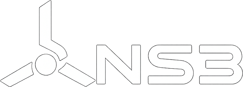 NS3
